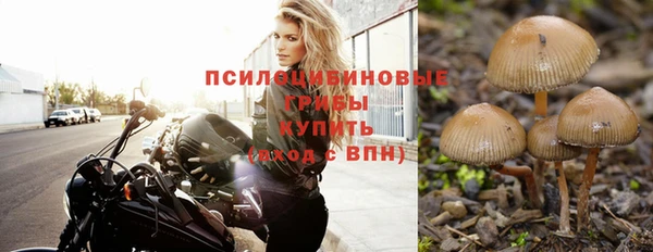 бошки Беломорск