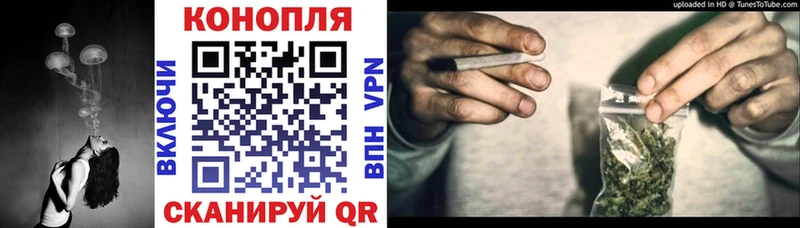 где можно купить   Бородино  кракен зеркало  Шишки марихуана THC 21% 